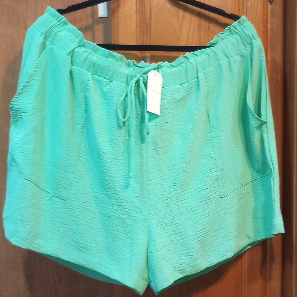 NWT Culture Code Mint Green Polyester Drawstring Waist Ladies 3X